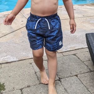ROOTS 3T Swim Shorts EUC